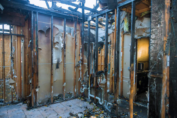 Professional Fire Damage Removal technician working in Fairfax, IA